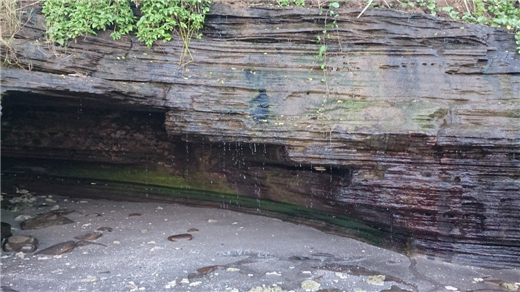 ��ˮ���� ����������