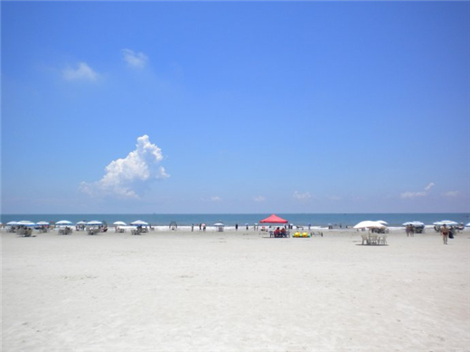 �����y�� ����������