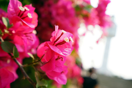 ����÷ �V������������