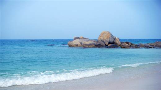 ���ލu �V���������ξW(w��ng)