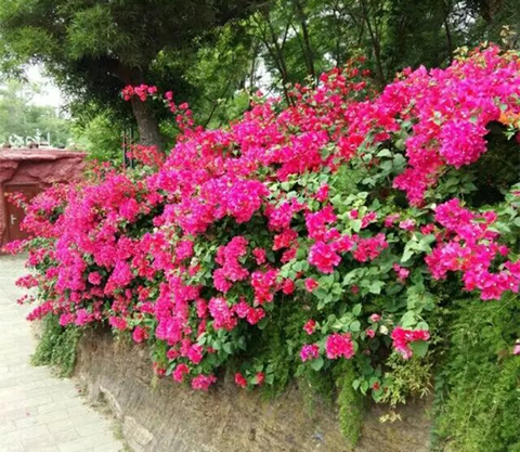 �V������������V���������ξW(w��ng)