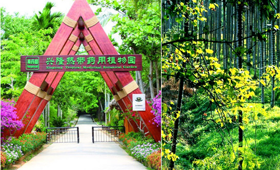 �V������������ ��������������