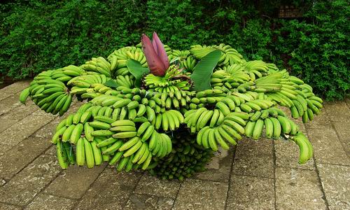 �V������������ ���ލu�㽶