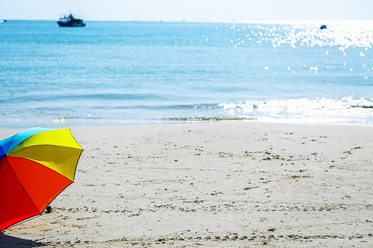 �V������������ ���ލu���ι���