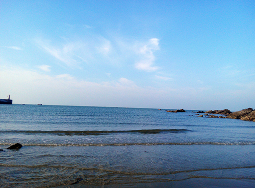 �����������������V������������