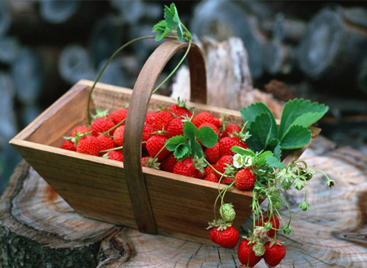 �V������������ ���������B(y��ng)��