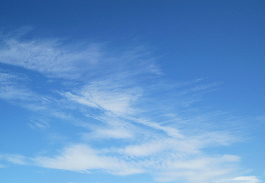 �ҵı�������ӛ �V���������ξW(w��ng)