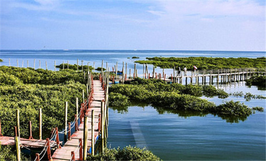 �V������������ �����������������ι�(ji��)