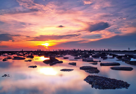 �V������������ ���ލu����