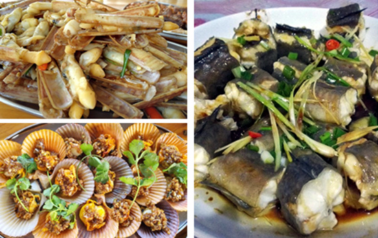 �V������������ ���ލu����