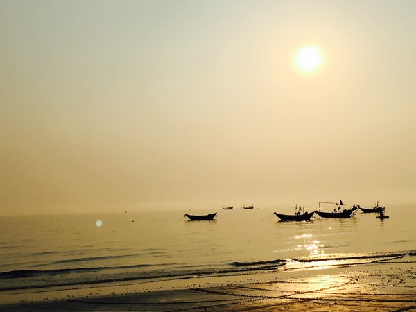 �V������������ ���ލu����