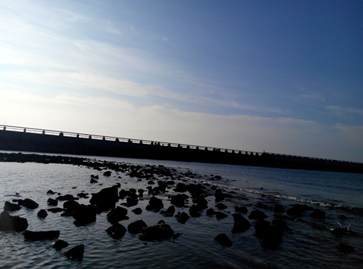 �V������������ �������ι���