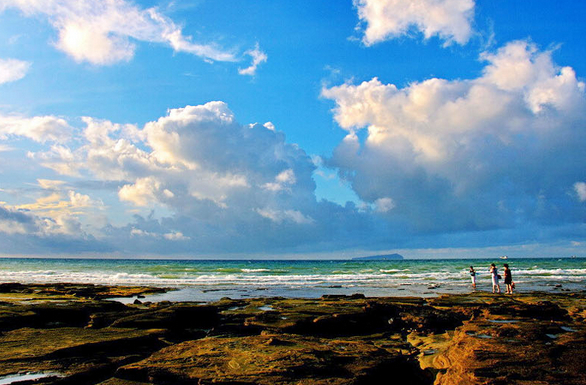 �V������������ �������ι���