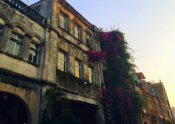 �V���������ξW(w��ng) �����Ͻ���ӛ