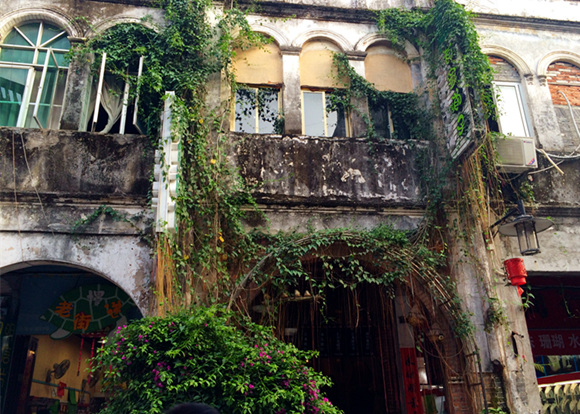 �V���������ξW(w��ng) ������ӛ