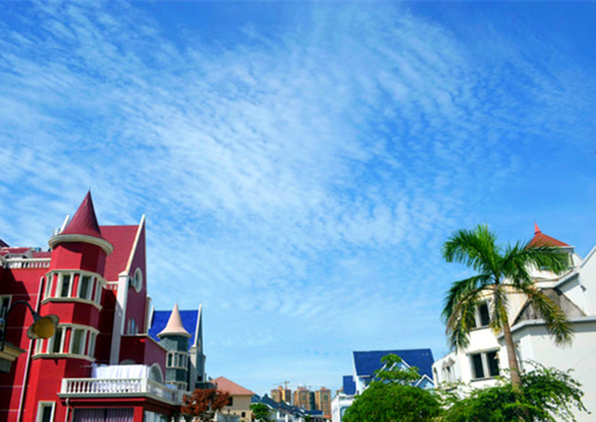 �����������V���������ξW