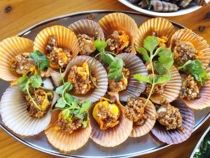 �������Σ��V���������ξW