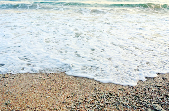 �������Σ��V���������ξW