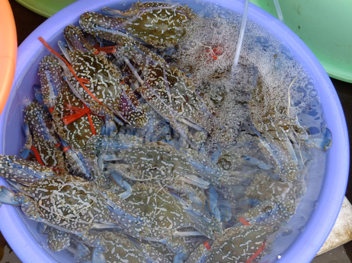 �������ι��ԣ��V���������ξW(w��ng)