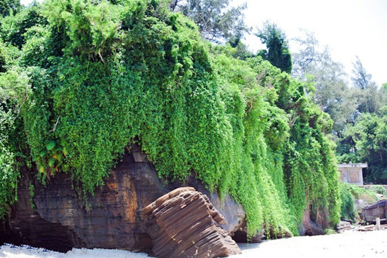 �V������������ ���� ���ލu����