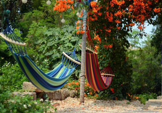 �������ލu�������V������������