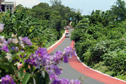 �������ލu�������V������������