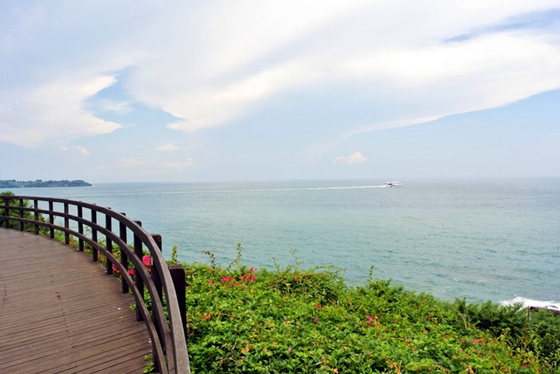 �V������������ ��������