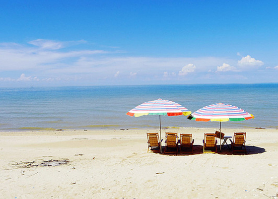 �V������������ ��������