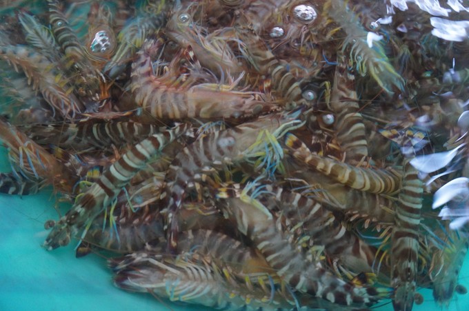 ���ލu���V���������ξW(w��ng)