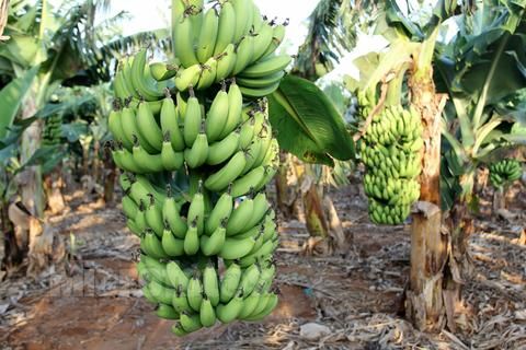 ���ލu���V���������ξW(w��ng)