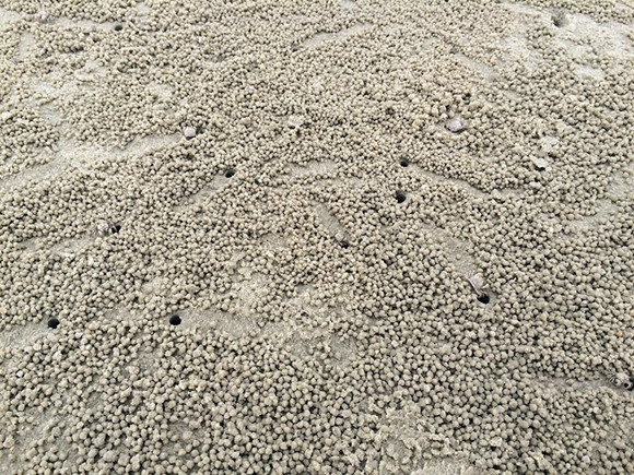 �����������V������������