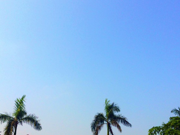 �����������V������������