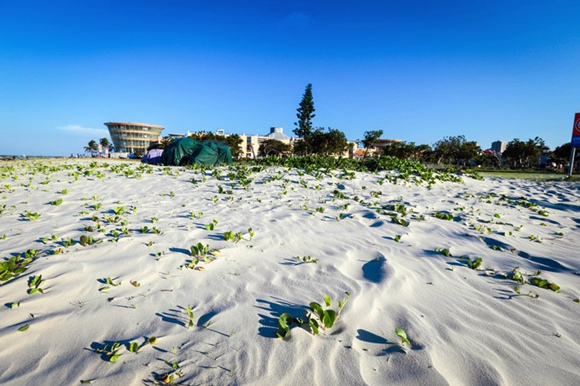 �����������V������������