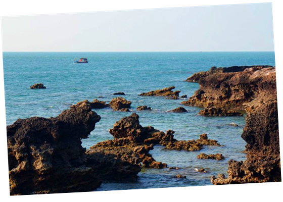 �����������V������������