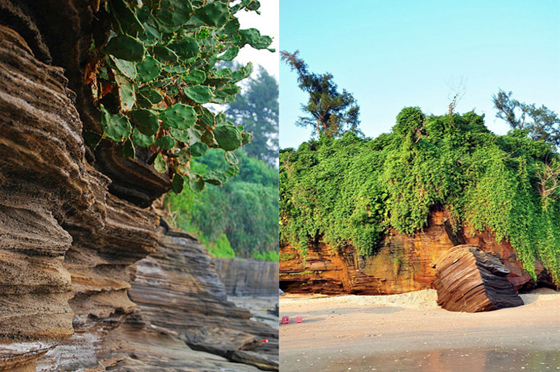 �����������V������������