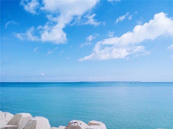 �������ލu���V������������