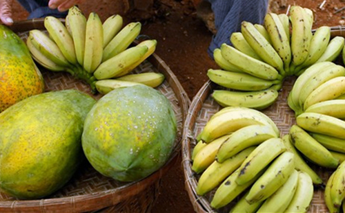 �������ލu���V������������