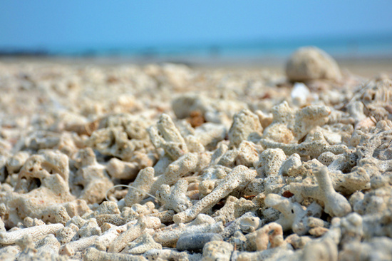 ���������ލu���V������������