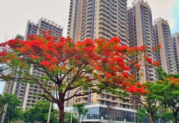 �����������V������������