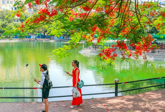 �����������V������������