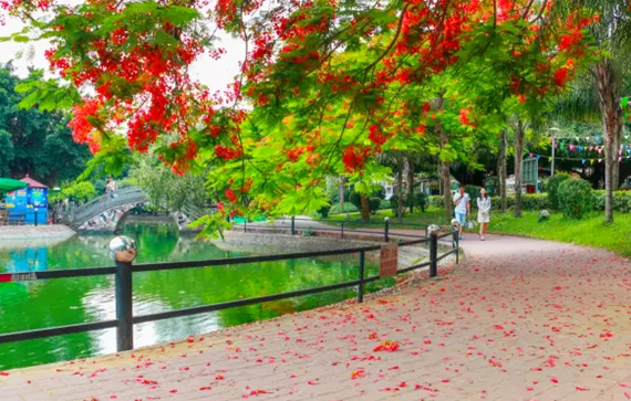 �����������V������������