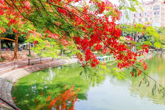 �����������V������������