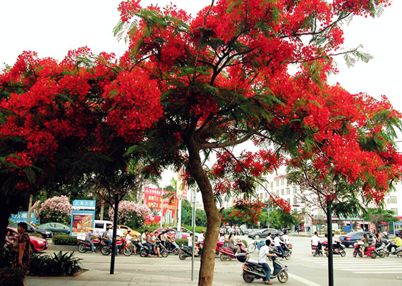 �����������V������������