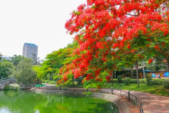 �����������V������������