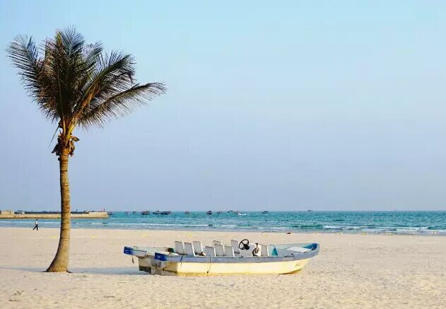 ���ލu�������V������������