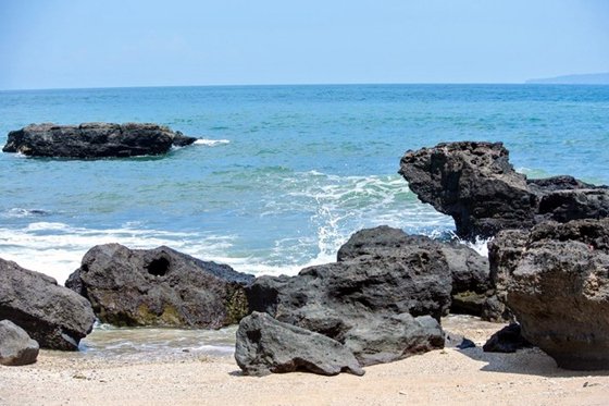 ���ލu�������V������������