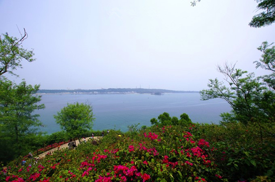 �������ލu�������V������������