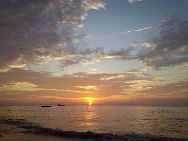 �������������ލu���V������������