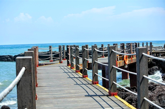 �������������ލu���V������������