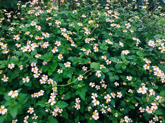 ���ލu�������������V������������